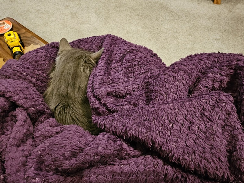 Thug cat part 5 - For he will not do destruction, if he is well-fed, neither will he spit without provocation.