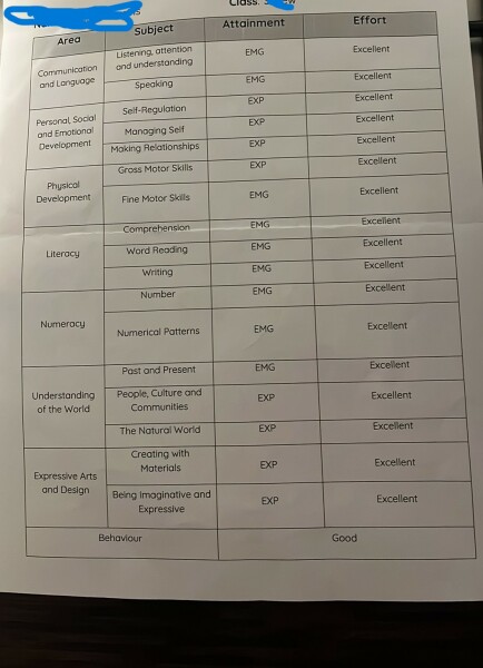 First Terms Report  -Some Area's marked as "Emerging"