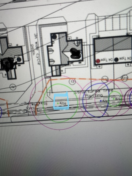 New Build - overhanging TPO Tree - pics
