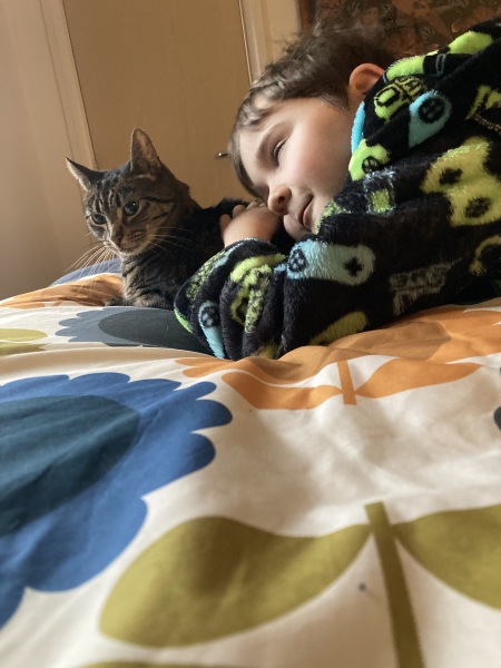Tales and Tails and NMCs  -  the Excellent Cats March On