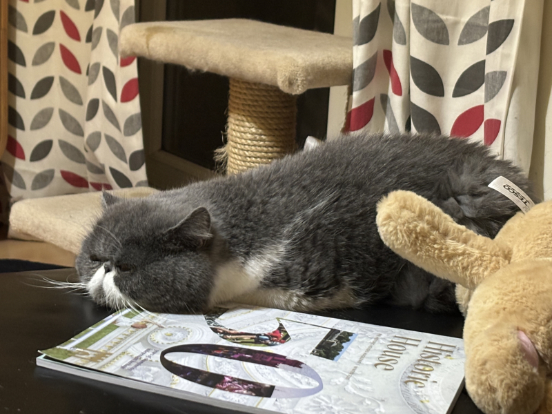 Potential new inmate at Toddler Towers.