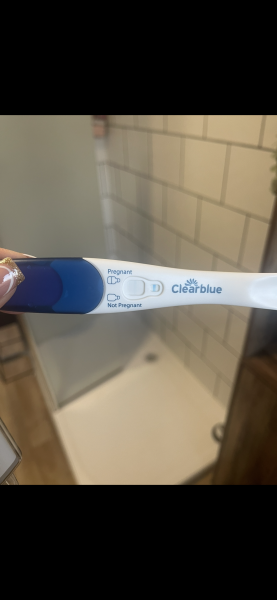 Gender scan predictions?