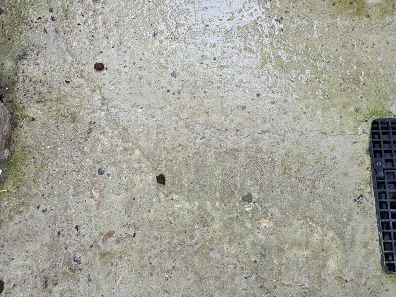 Crack in new concrete path