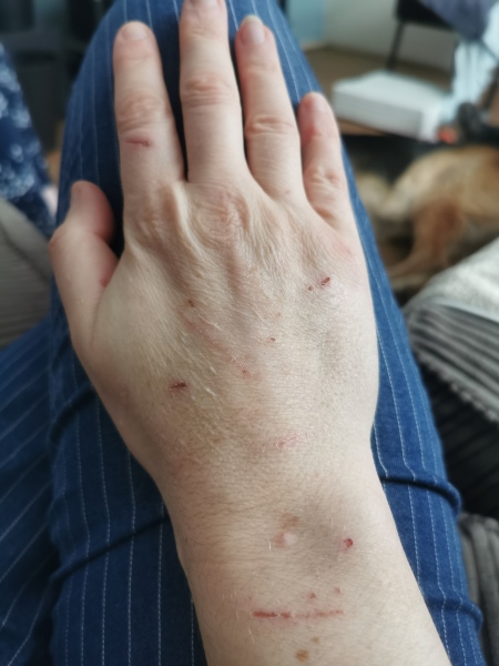 Puppy Survival Thread - for old and new pups heading into winter