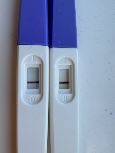 Early pregnancy test