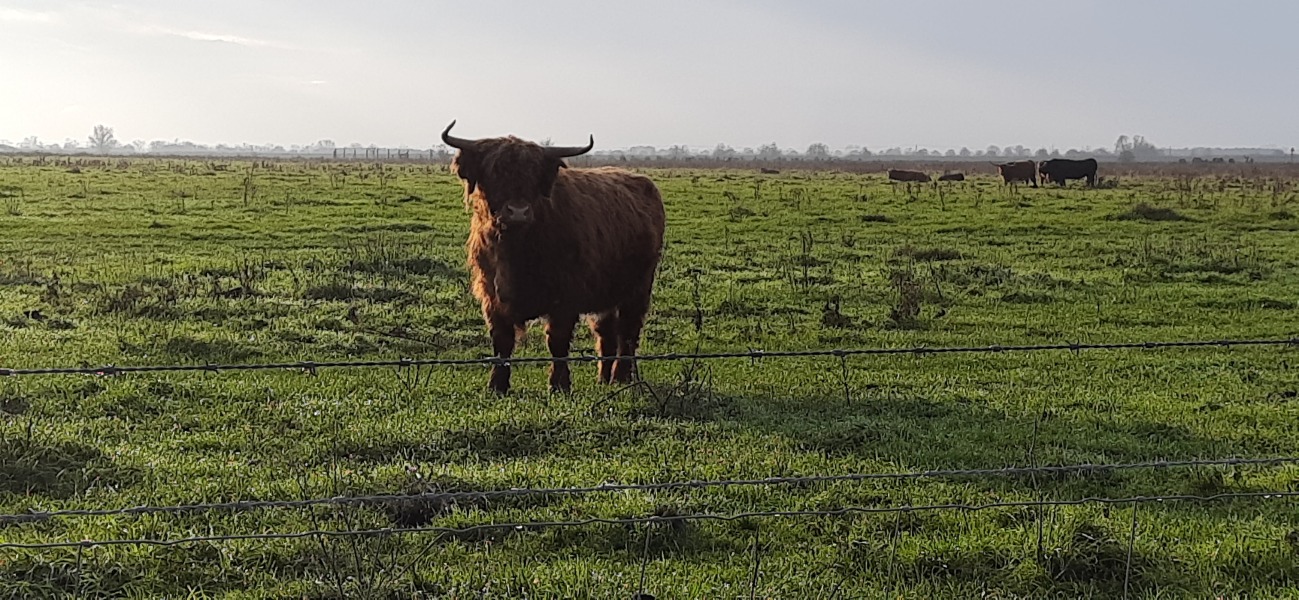 To ask you to show me your beautiful parts of the country