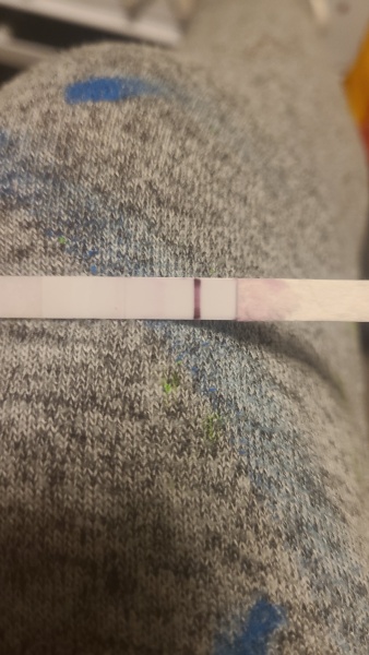 Pregnancy test 1st line disappeared. Am I pregnant? 