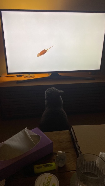 Thread 12 - TalkLair: “I say we take off and nuke the entire site from orbit. It's the only way to be sure.”