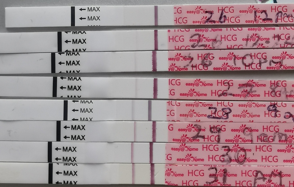 OCTOBER 2024 BABIES!