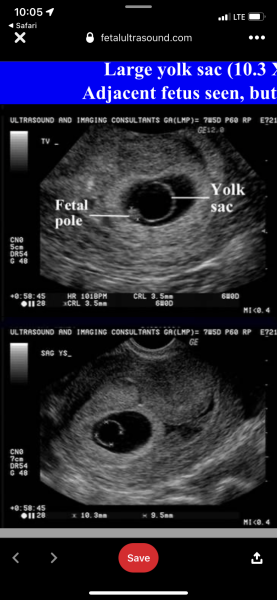 Due September 2024 PART 2 💛🧡💚💙💜