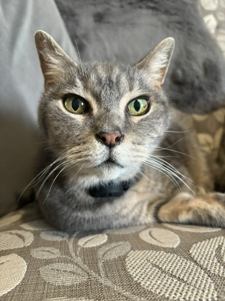 Potential new inmate at Toddler Towers.