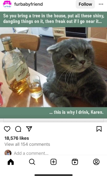 Christmas with the Excellent Cats