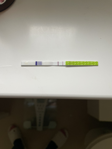 TTC after early miscarriage