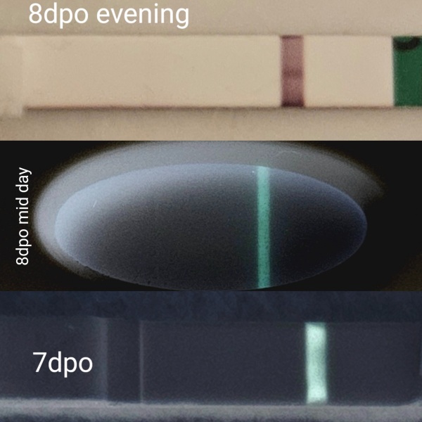 TTC May 2023 💖 Previous MC March 2023 (thread 3)