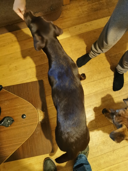 Am I feeding her enough?