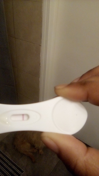 OCTOBER 2024 BABIES!