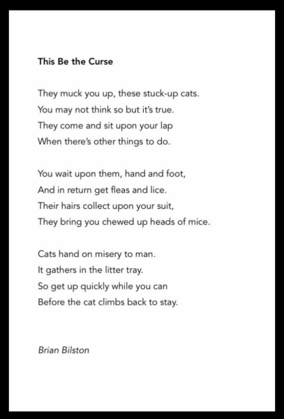 Which character from fiction would you like as a friend?