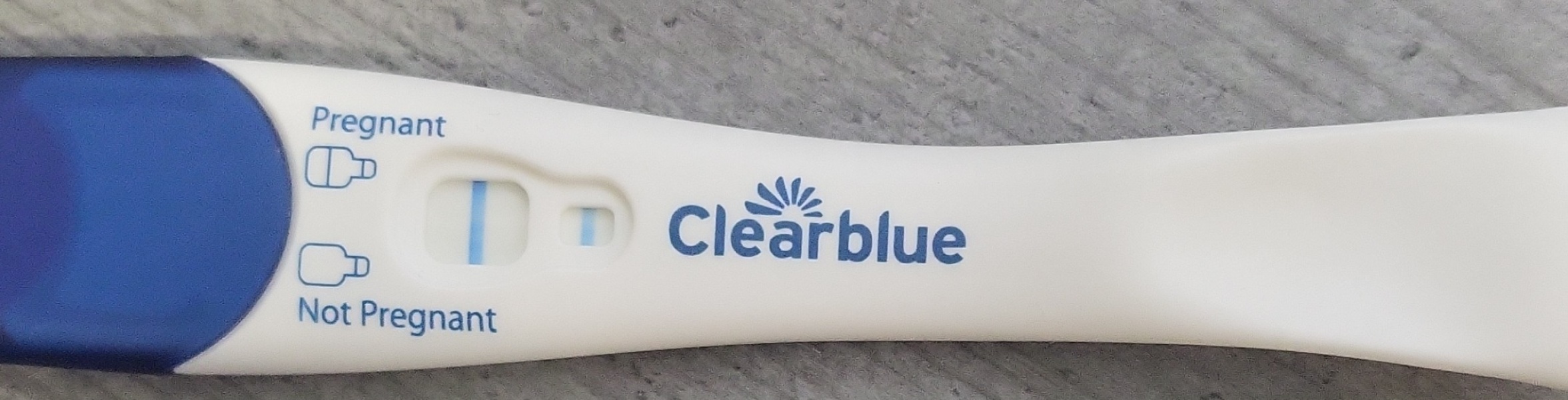 OCTOBER 2024 BABIES!