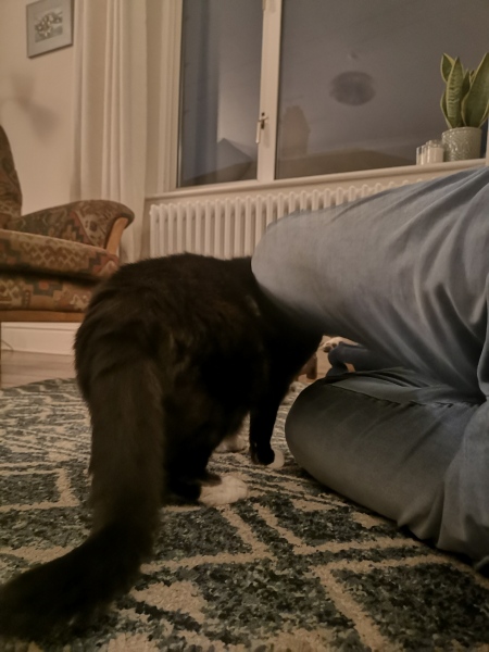 Physio accountability thread - anyone in?