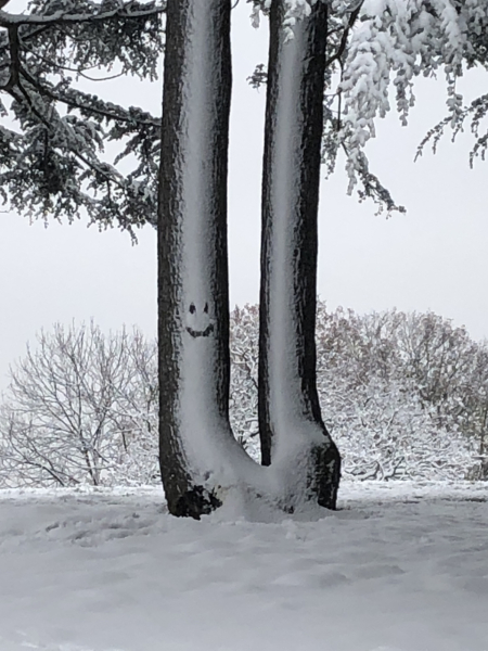 To ask you to show me your beautiful parts of the country