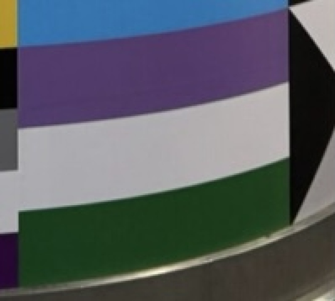 London Bridge railway station political gender flags - how to complain