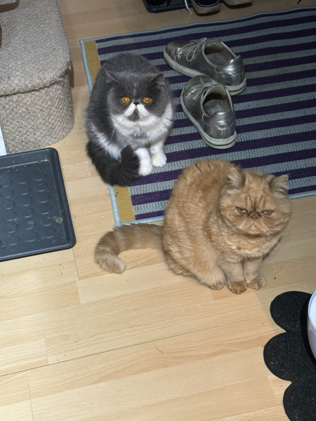 Potential new inmate at Toddler Towers.