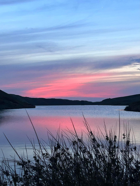 To ask you to show me your beautiful parts of the country