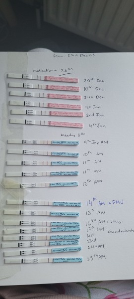 Support thread for those experiencing or recently experienced a MC/MMC - Thread 8 ALL welcome!