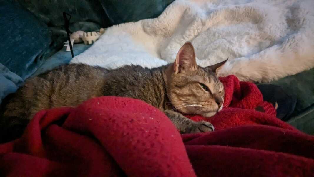 My poor little boy