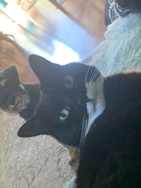 The Great Recovery! After cancer what next?