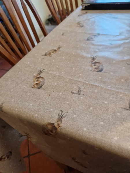 Protecting £1k table from toddler..?