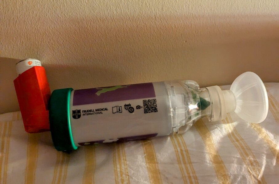 Has anyone ever had a cat with asthma?