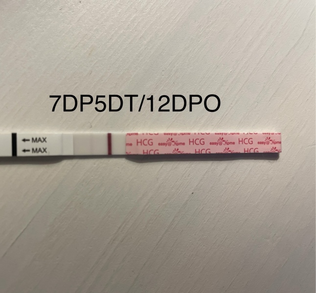 IVF / ICSI January 2024