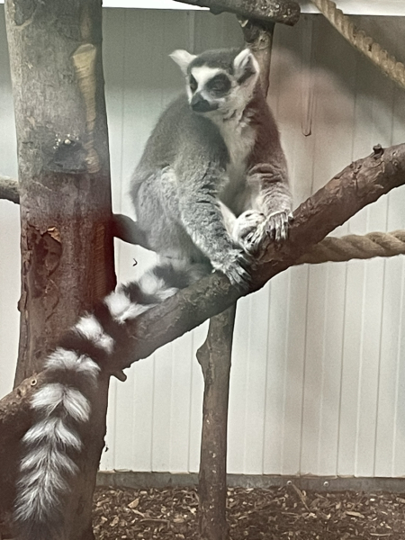 The happy Place Café is still open - 2024