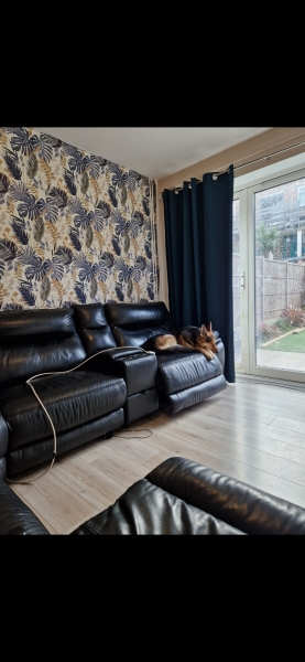 Messy house/garden pics