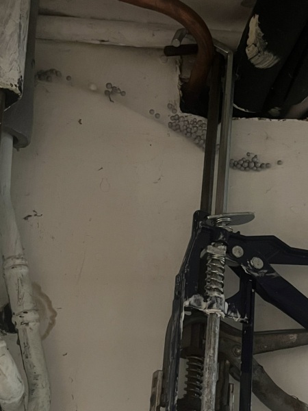 What is this nest in my garage?