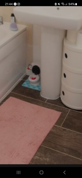 Prince's toilet in a very cheap house.