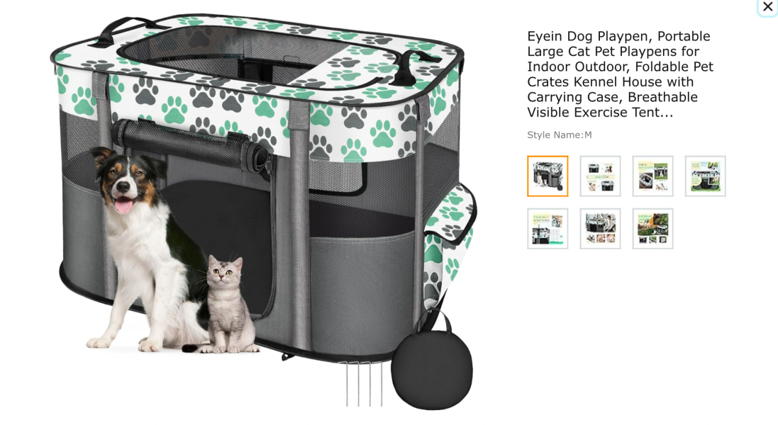 New kittens - where should they sleep?