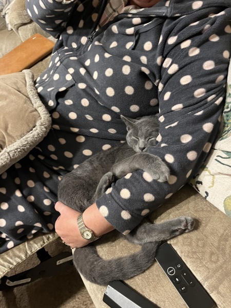 Finlay update