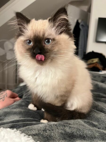 Thread 12 - TalkLair: “I say we take off and nuke the entire site from orbit. It's the only way to be sure.”