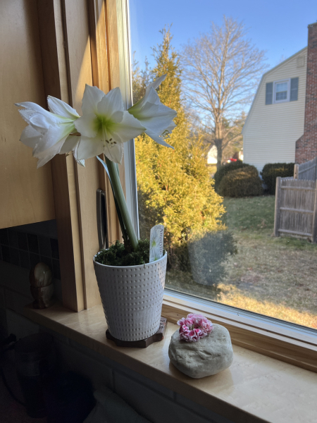 Thread 11 - TalkLair: “The candle flame gutters. Its little pool of light trembles.”