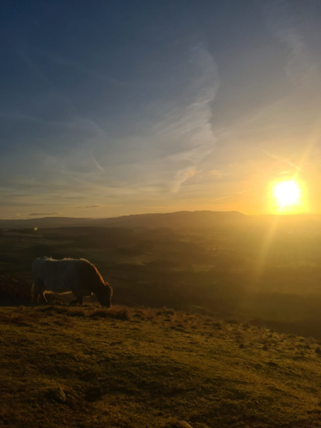 To ask you to show me your beautiful parts of the country