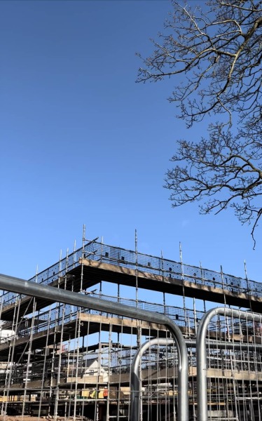 New Build - overhanging TPO Tree - pics