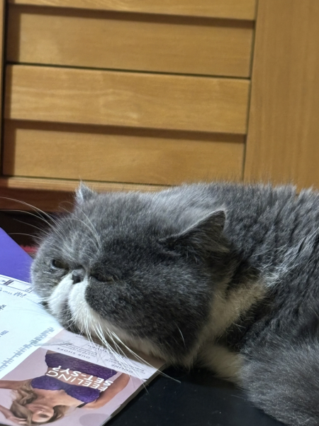 Potential new inmate at Toddler Towers.