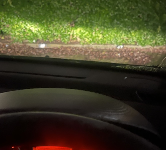 Car parked in my assigned spot, what else can I do?