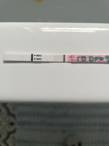 10DPO is this good for easy home test?