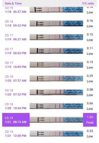Ovulation testing