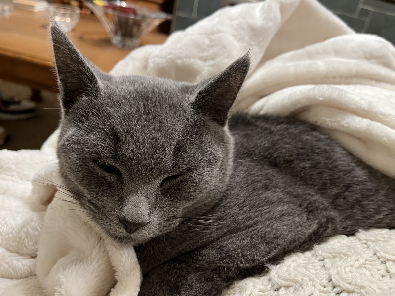 Finlay update