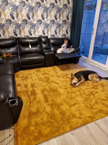 Rug does not look right?