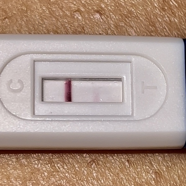 Positive and negative pregnancy tests?